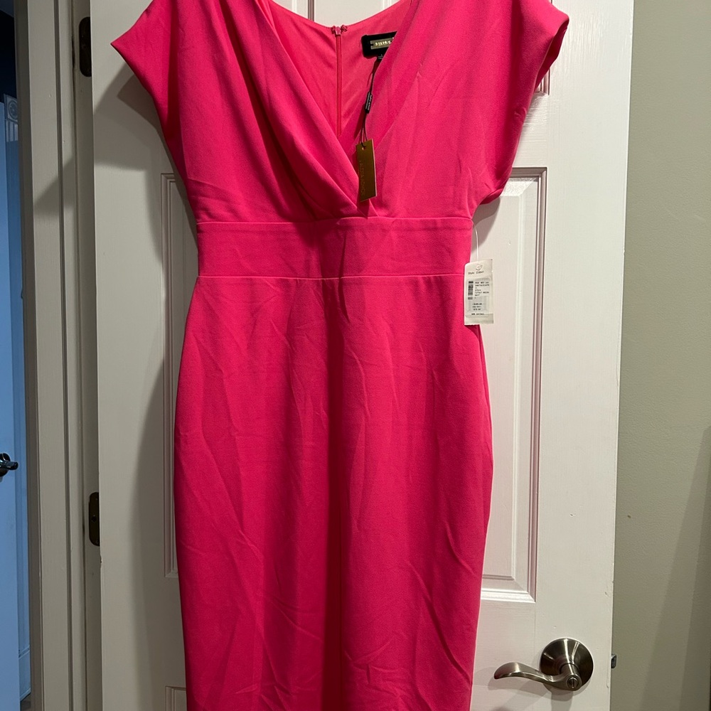Elegant Pink Dress